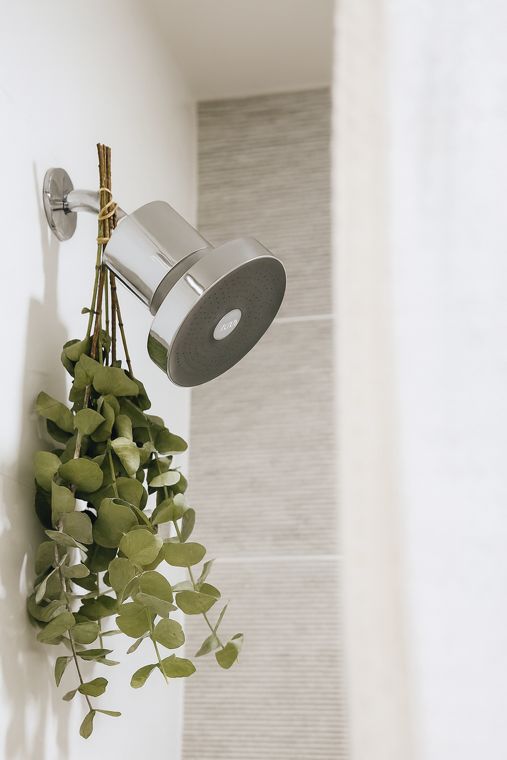 Liora - The Filtered Showerhead - Limited Launch Edition